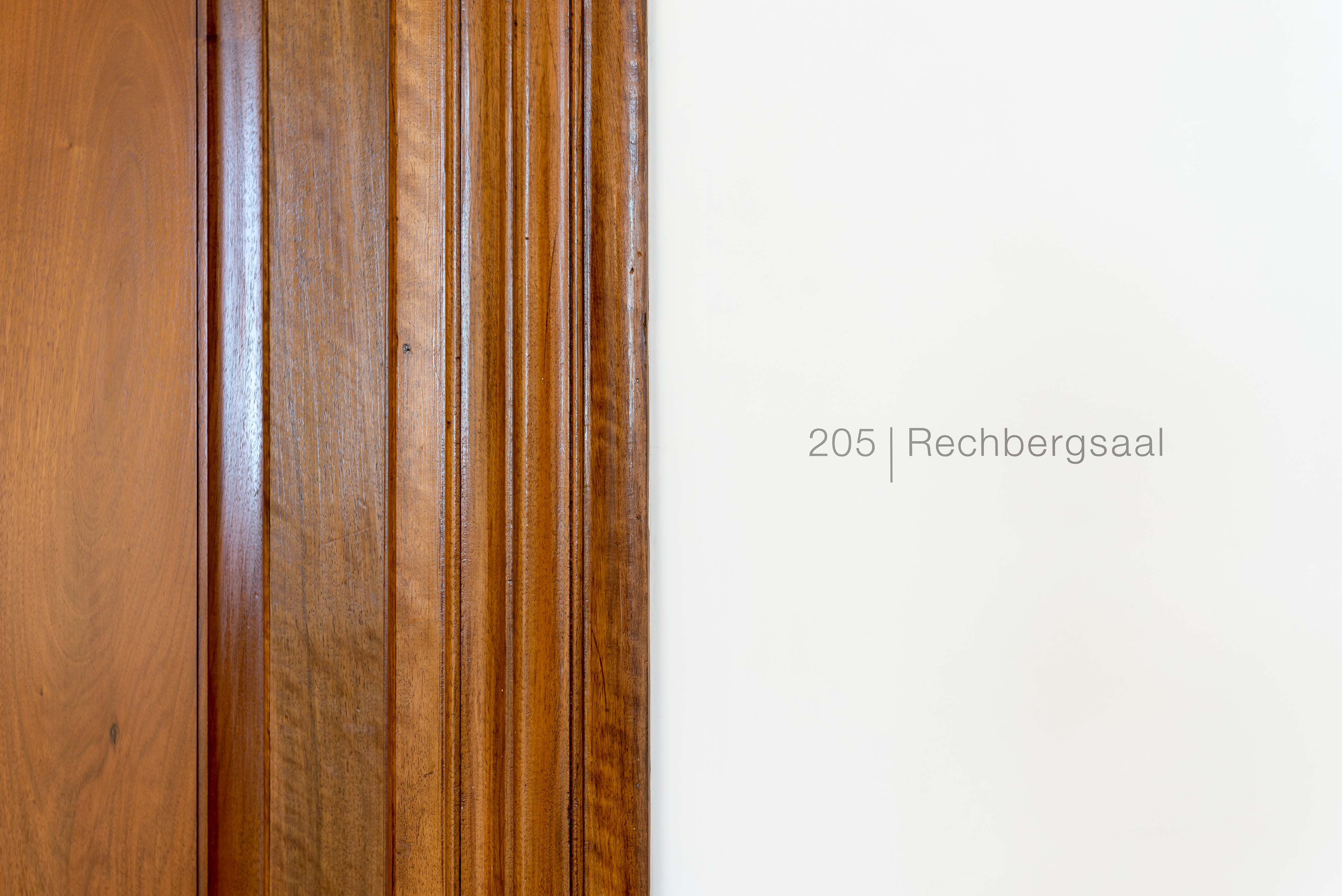 Haus zum Rechberg, Rechbergsaal