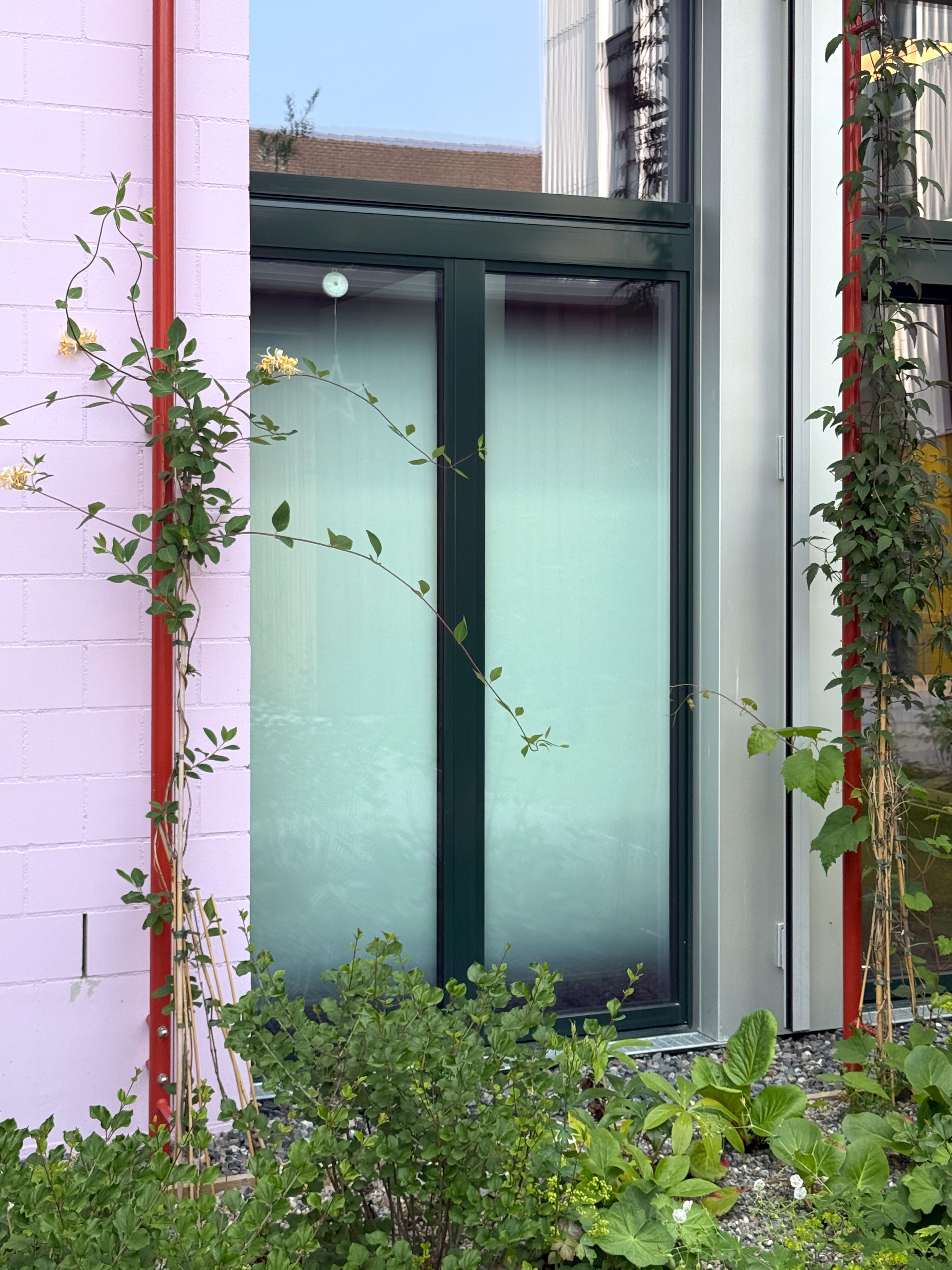 Signaletik Neubau Glaubten-Areal SWS Sichtschutz Verlauf